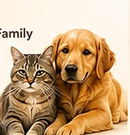 Join the AURAPAW Family