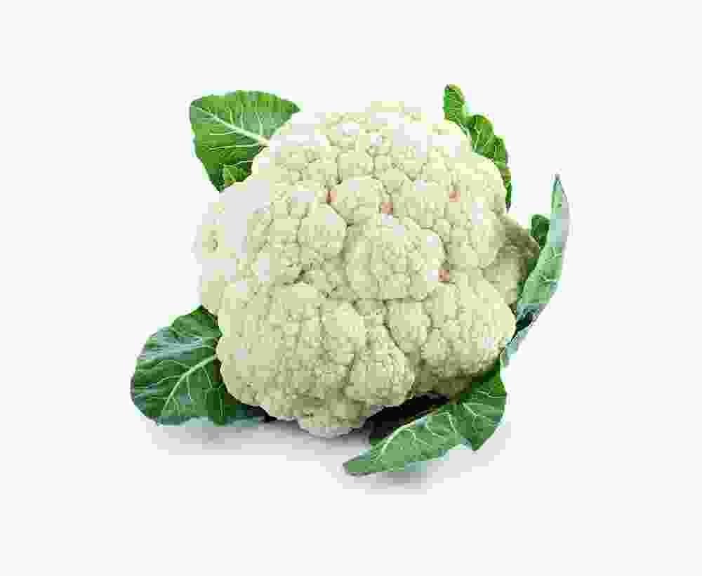 Shop Primary Image Shop Primary Image