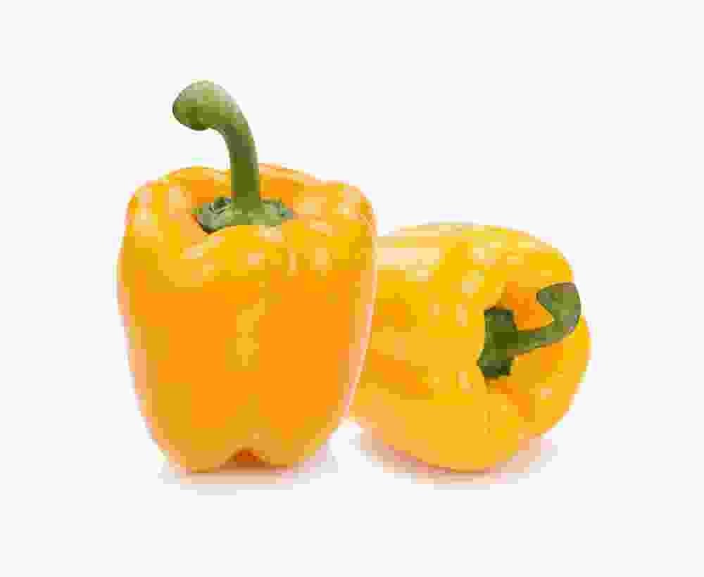 Shop Primary Image Shop Primary Image