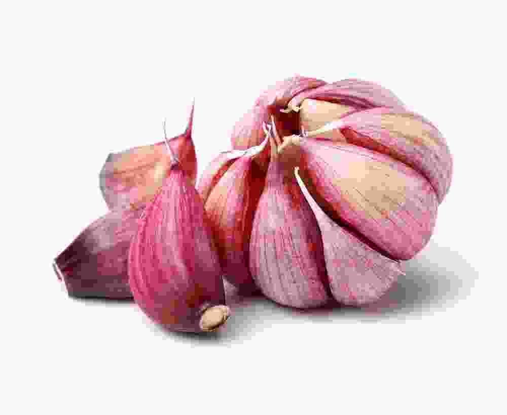 Shop Primary Image Shop Primary Image