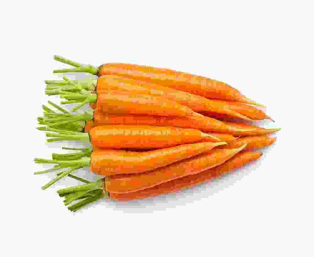 Shop Primary Image Shop Primary Image